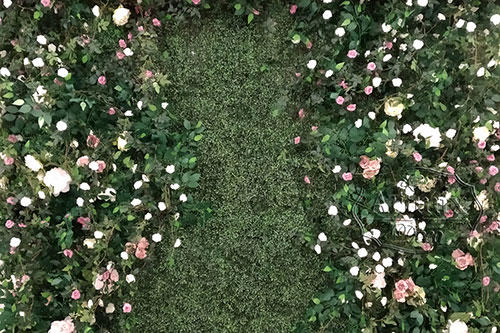 Фон из самшита с цветами на свадебном торжестве