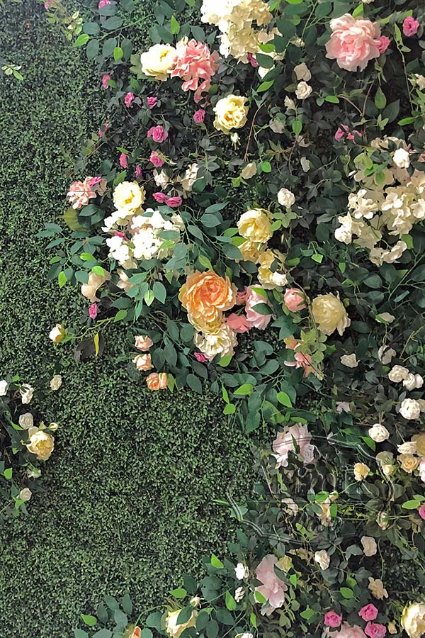 Оформления фона за молодыми из самшита с плетистой розой