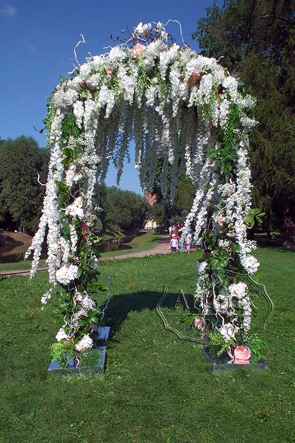 Свадебная арка из глицинии в Таврическом саду